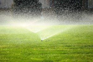 Why You Should Consider Installing a Sprinkler System