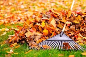 Winter Tips for Landscaping Curb Appeal